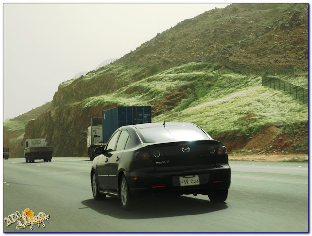(2010�) ���2020